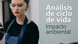 Curso de Análisis de Ciclo de Vida: impacto ambiental
