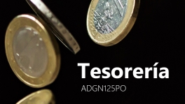Curso de Tesorería (ADGN125PO)