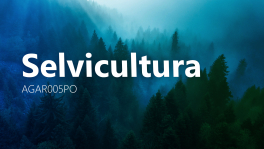Curso de Selvicultura (AGAR005PO)