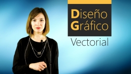 Curso de Diseño Gráfico Vectorial con Adobe Illustrator básico (ARGG002PO)