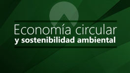 Curso de Economía circular y sostenibilidad ambiental