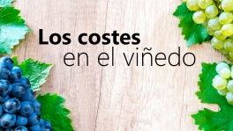 Curso de Los costes en el viñedo