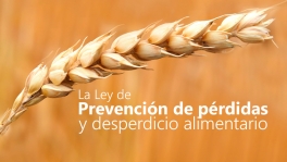 Curso de Prevención de pérdidas y desperdicio alimentario
