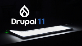 Curso de Drupal 11