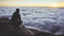 Curso de Efectividad para la excelencia