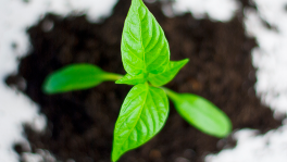 Curso de Creación de empresas