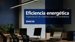 Curso de Eficiencia energética. Sostenibilidad (ENAC20)