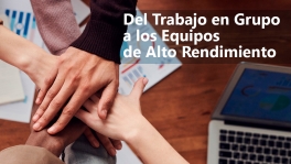 Curso de Trabajo en grupo y equipos de alto rendimiento