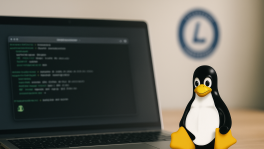 Curso de Administración básica de Linux (LPIC-1)