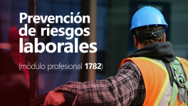 Curso de Prevención de riesgos laborales (módulo profesional 1782)