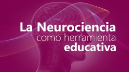 Curso de La neurociencia como herramienta educativa