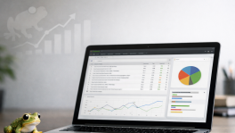 Curso de Screaming Frog y SEO técnico