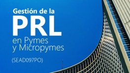 Curso de Gestión de la PRL pymes y micropymes (SEAD097PO)