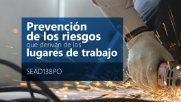 Curso de Prevención riesgos lugares trabajo (SEAD138PO)