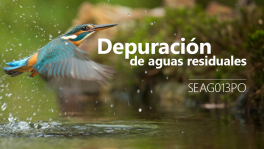 Curso de Depuración de aguas residuales (SEAG013PO)