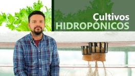Curso de Sistemas hidropónicos y cultivos sin suelo