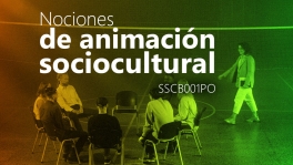Curso de Nociones de animación sociocultural (SSCB001PO)