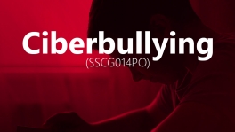 Curso de Ciberbullying (SSCG014PO)