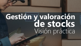 Curso de Gestión y valoración de stocks: Visión práctica