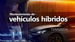 Curso de Mantenimiento de vehículos híbridos (TMVG0004)