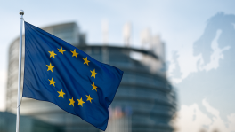 Curso de Unión Europea: instituciones, estructura,políticas